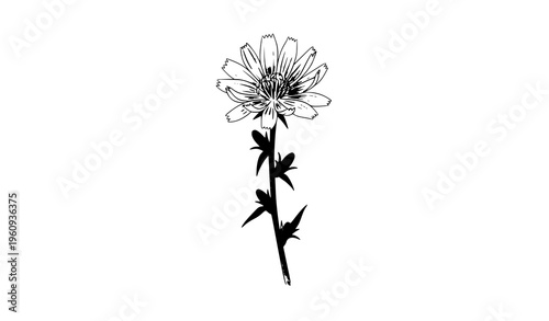 Black and white tree vector set with detailed roots and decorative leaf patterns for nature growth concept