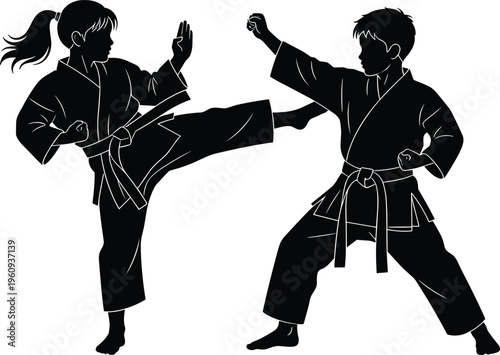 Silhouettes of martial arts fighters practicing karate techniques, high kick and defensive stance, representing training, discipline, fitness, and combat sports