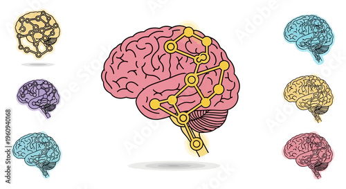 Brain with colorful neural connections.