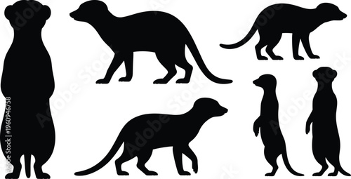 Meerkat silhouettes, standing meerkats, walking meerkats, animal vector icons, wildlife illustration, social animals, alert posture, black silhouettes, zoo animals, desert mammals