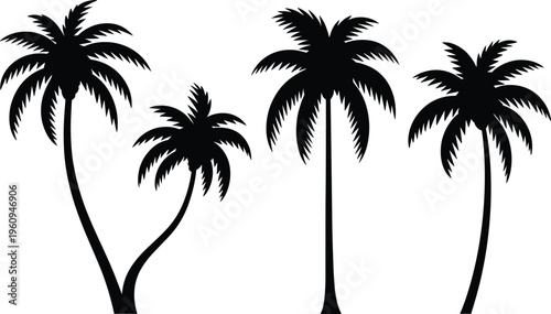 Palm tree silhouettes collection, tropical coconut palm trees isolated, beach nature vector illustration, summer island landscape design element set