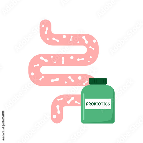 Intestines and Probiotics. Different microbiome and microbiota. Bifidobacterium and lactobacillus, supplement isolated elements. Gastrointestinal health vector cartoon flat illustration