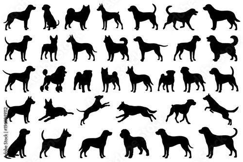 Dog Silhouette Vector Set – Standing, Sitting, and Lying Down Poses of Various Breeds for Pet and Animal Designs