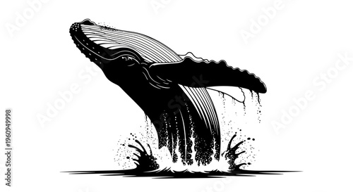 Black and white illustration of a whale jumping out of the water on isolated with splashes