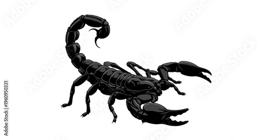 Black scorpion with raised tail and claws