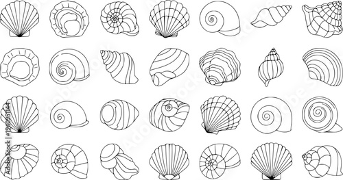 Diverse Sea Shell Outline Collection - Minimalist Ocean Snail and Scallop Line Art Vector Set