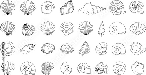 Diverse Sea Shell Outline Collection - Minimalist Ocean Snail and Scallop Line Art Vector Set
