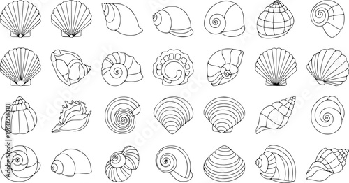 Diverse Sea Shell Outline Collection - Minimalist Ocean Snail and Scallop Line Art Vector Set
