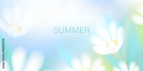 Summer, spring soft blurred background. White ethereal flowers. Field, wild plants, morning. Natural unfocused landscape.