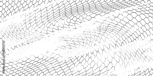 Black snake skin pattern isolated on white background eps 10