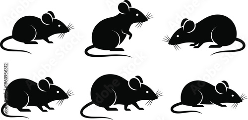 Mice or rats in various poses. Rodents sitting, standing, and running. 