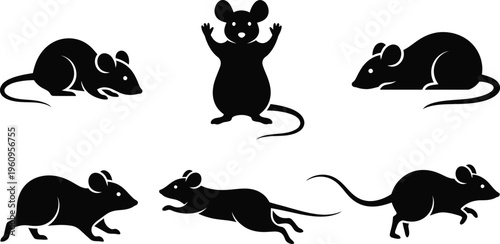 Mice or rats in various poses. Rodents sitting, standing, and running. 