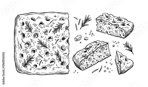 Hand-drawn focaccia bread with rosemary and olives illustration
