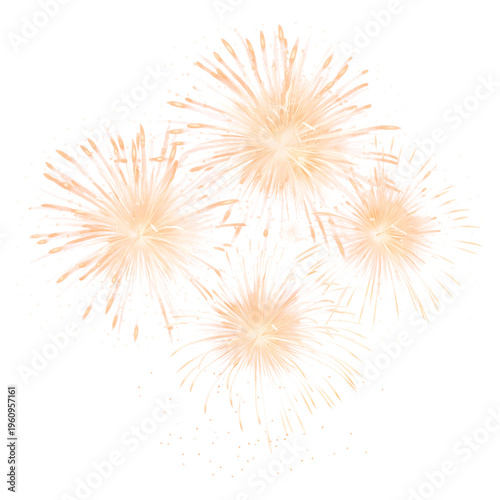 Schilderij op canvas Realistic fireworks illustration