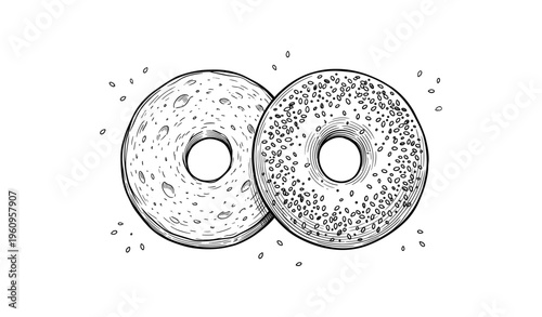 Detailed black and white drawing of two bagels with seeds
