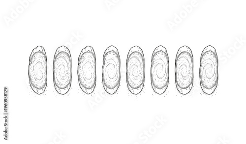 Hand-drawn spiral galaxies aligned in black and white on a white background