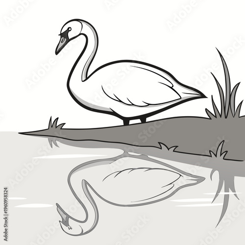 A swan standing on the shore of a lake