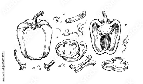 Black and white illustration of sliced bell peppers with seeds and stems