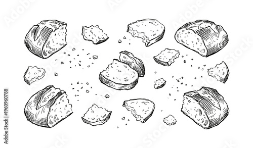 Hand-drawn rustic bread loaves and crumbs on white background
