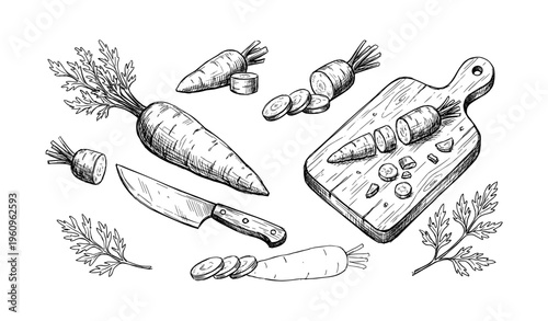 Hand-drawn carrot illustrations with chopping board and knife