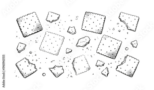 Hand-drawn cracker sketches with bite marks and crumbs on white background