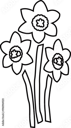 水仙の花と茎のアウトライン白黒線画イラスト