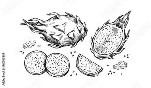 Hand-drawn illustration of whole and sliced dragon fruit with seeds