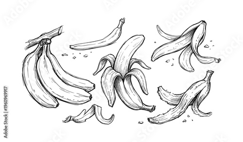 Hand-drawn banana sketches featuring whole and peeled bananas with peels