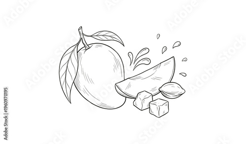 Black and white mango drawing with slices and cubes