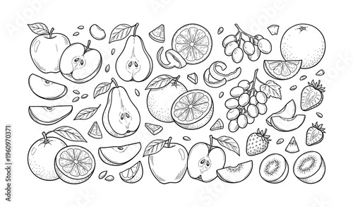Hand-drawn fruit illustration: apples, oranges, pears, grapes, kiwis, strawberries