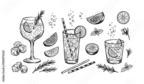 Hand-drawn cocktail selection with ice cubes, slices, and herbs