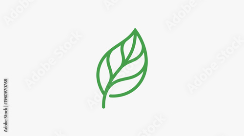 Clean line art of a single leaf with internal veins