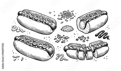 Hand-drawn hot dog illustrations with toppings and varieties