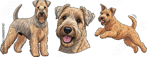 Soft Coated Wheaten Terrier dog standing smiling face jumping pose set