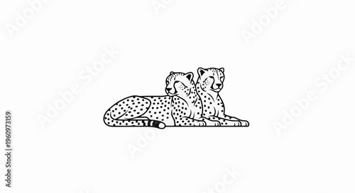 Two spotted cheetahs lying down side by side, a striking black and white illustration