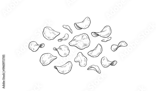 Hand-drawn potato chips on white background