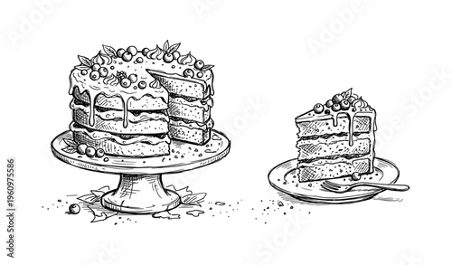 Hand-drawn layered cake with berries and a slice on a plate