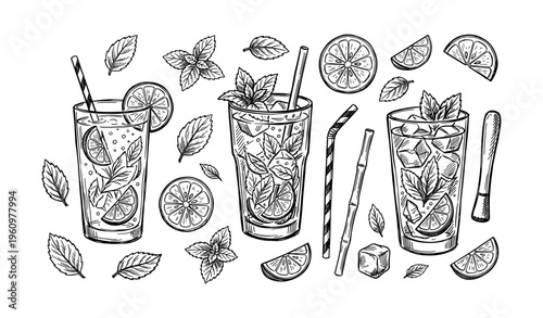 Hand-drawn outline of lemonade glasses with citrus and mint on white background