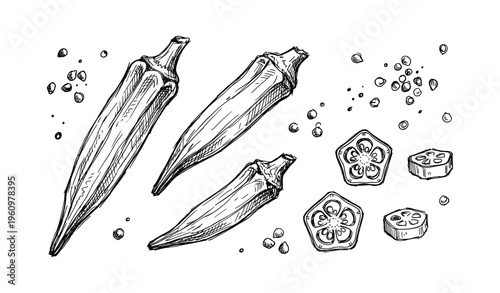Hand-drawn okra illustration with slices and seeds in black and white