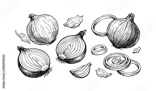 Hand-drawn onions with sliced rings and peels in black and white illustration