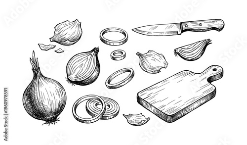 Hand-drawn onion and kitchen utensils illustration with knife and cutting board