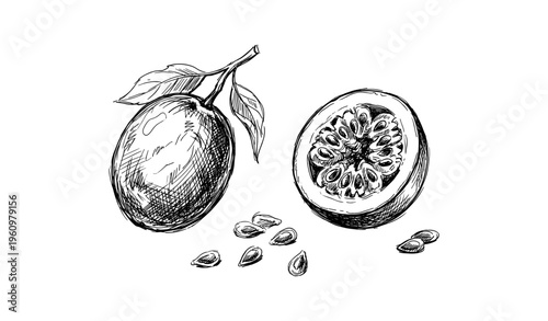 Hand-drawn passion fruit with leaf and seeds in black and white