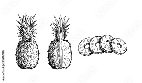 Hand-drawn pineapple artwork featuring whole, half, and sliced fruit