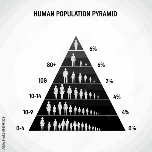 Human population pyramid age distribution chart.