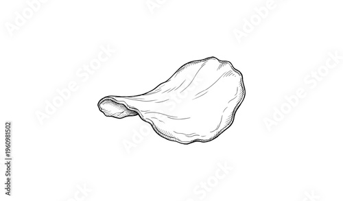 Hand-drawn black and white oyster mushroom illustration on white background