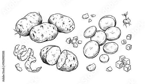 Hand-drawn potato sketches with slices, cubes, and peels in black and white