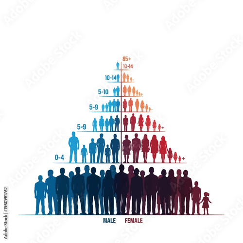 Population pyramid with human silhouettes.
