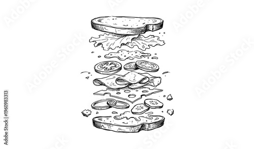 Hand-drawn exploded sandwich with lettuce, tomatoes, cheese, and ham