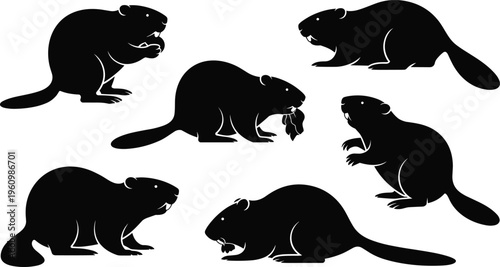 Six Black Silhouette Beaver Icons Showing Chewing and Holding Actions on White Background animal mammal