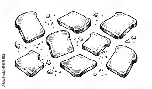 Hand-drawn black and white variety of bread slices with crumbs illustration